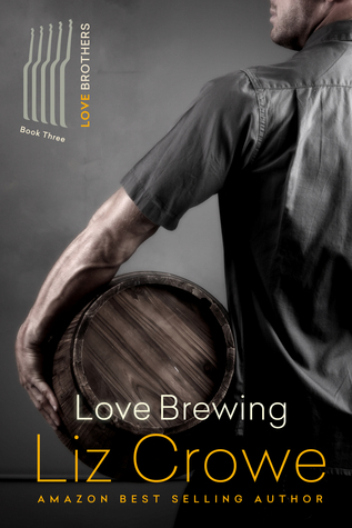 Love Brothers book cover 3