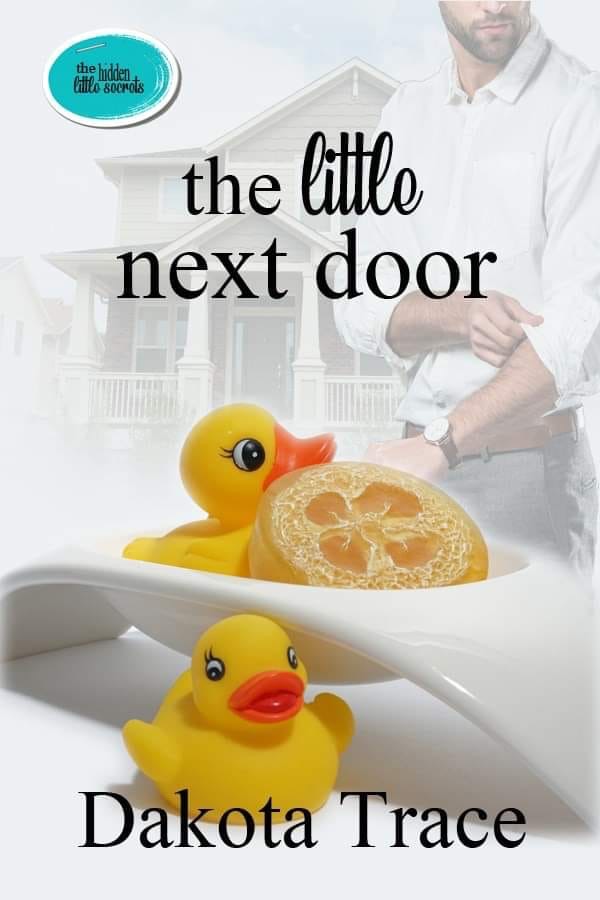 The Hidden Little Secrets book cover 1