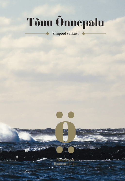 Siinpool vaikust book cover
