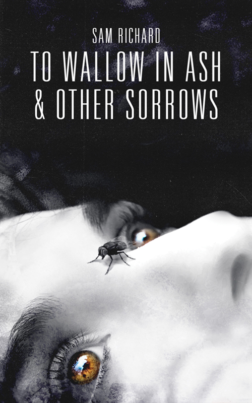 To Wallow in Ash, & Other Sorrows book cover