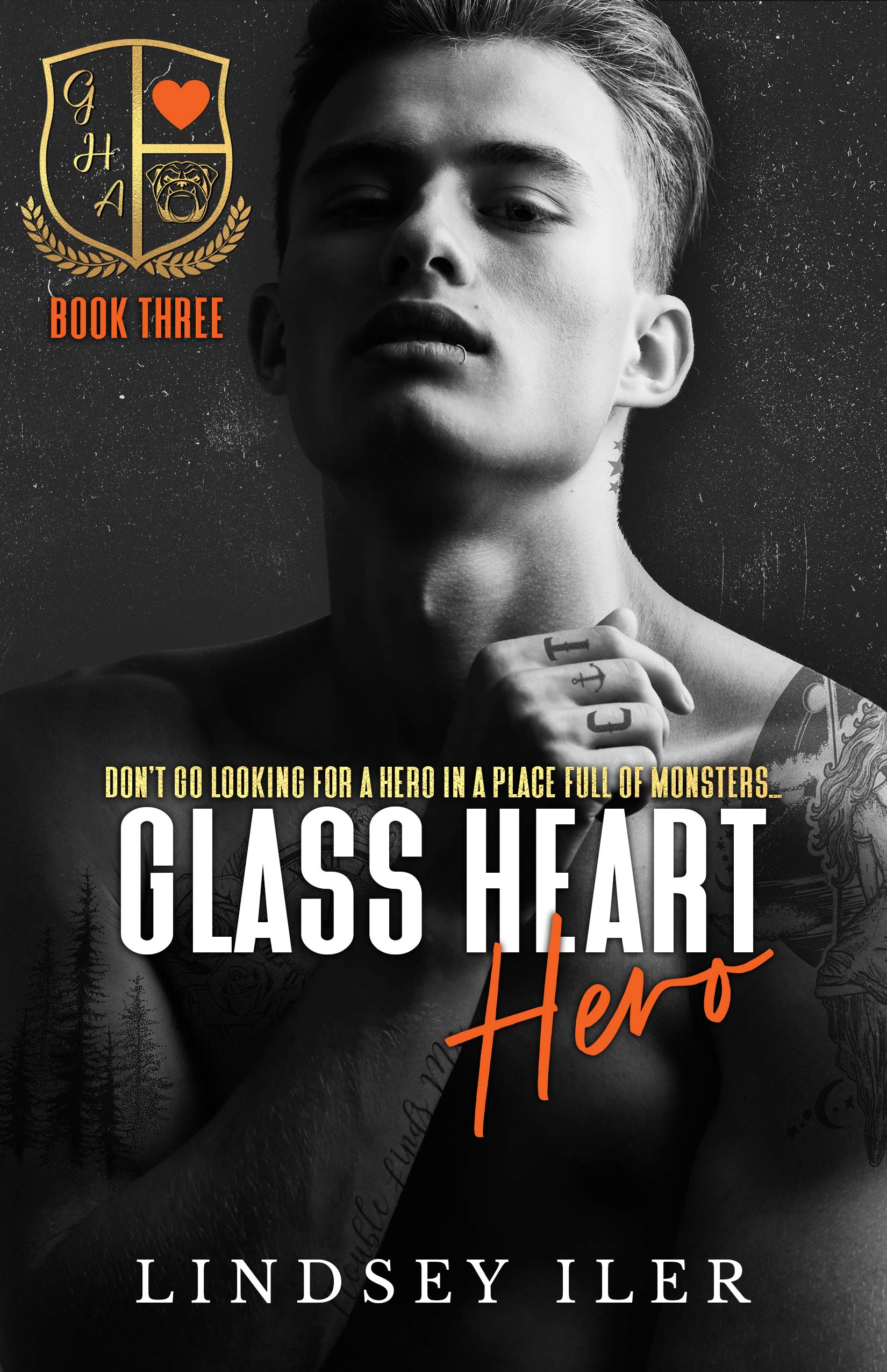 Glass Heart Academy book cover 3