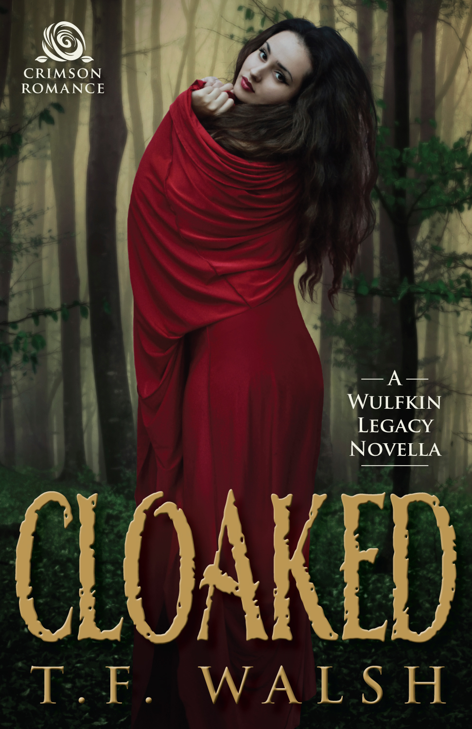 Cloaked book cover