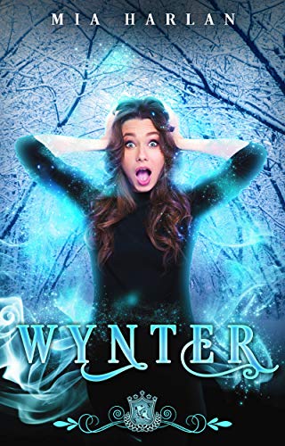 Silver Skates book cover 1