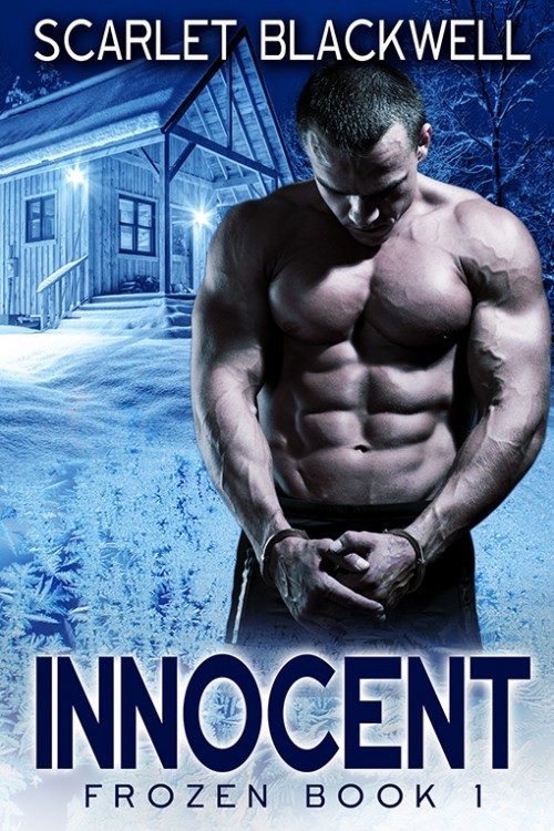 Frozen book cover 1