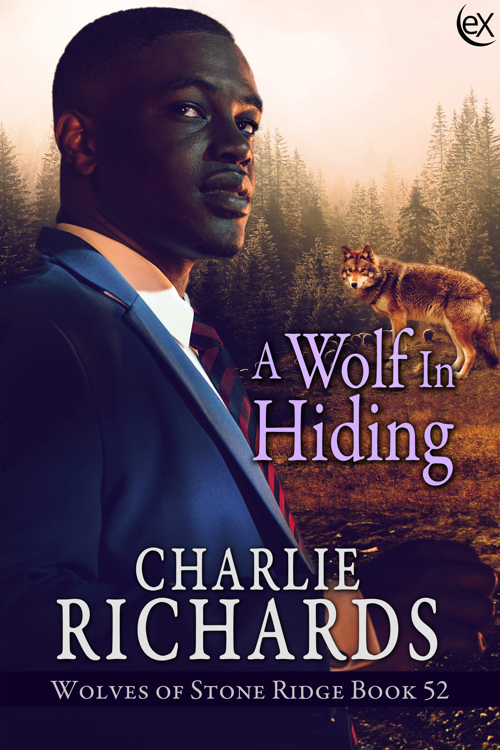 A Wolf in Hiding book cover