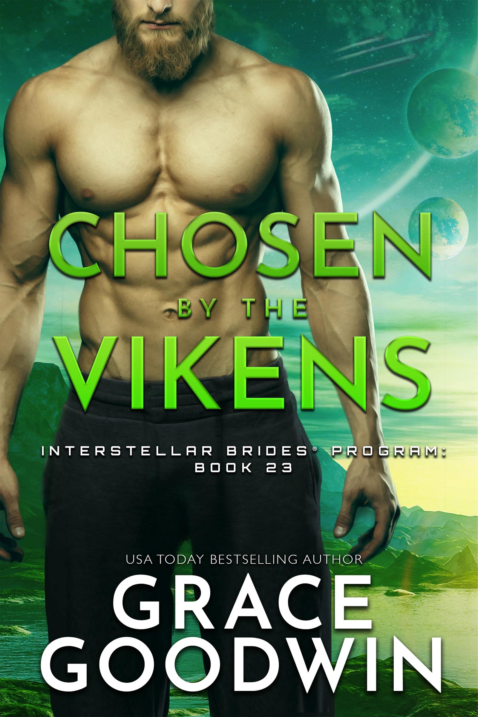Chosen by the Vikens book cover