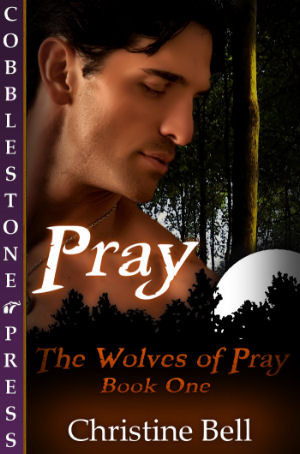 Pray book cover