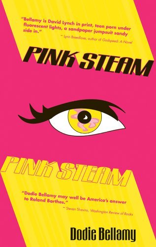 Pink Steam book cover