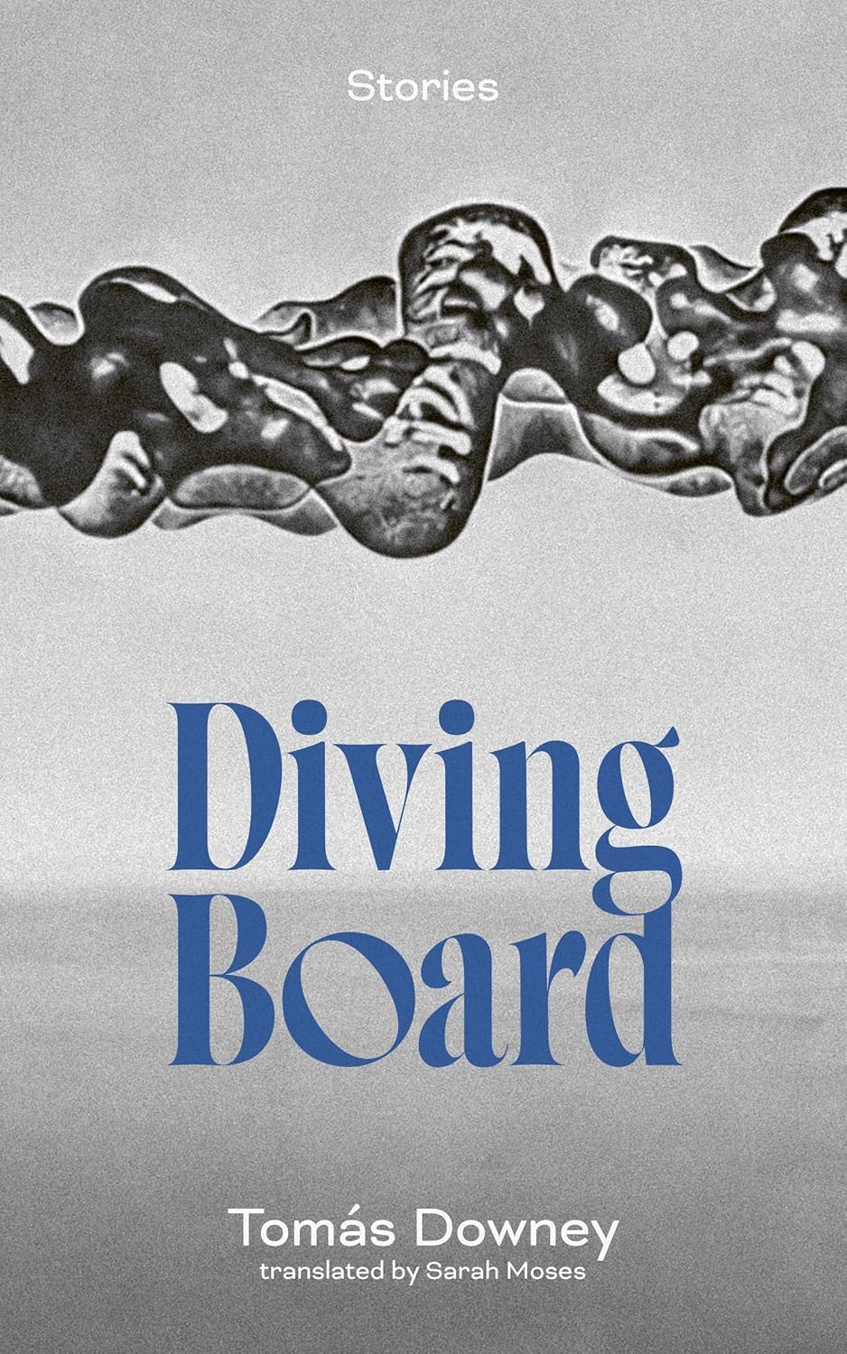 Diving Board book cover