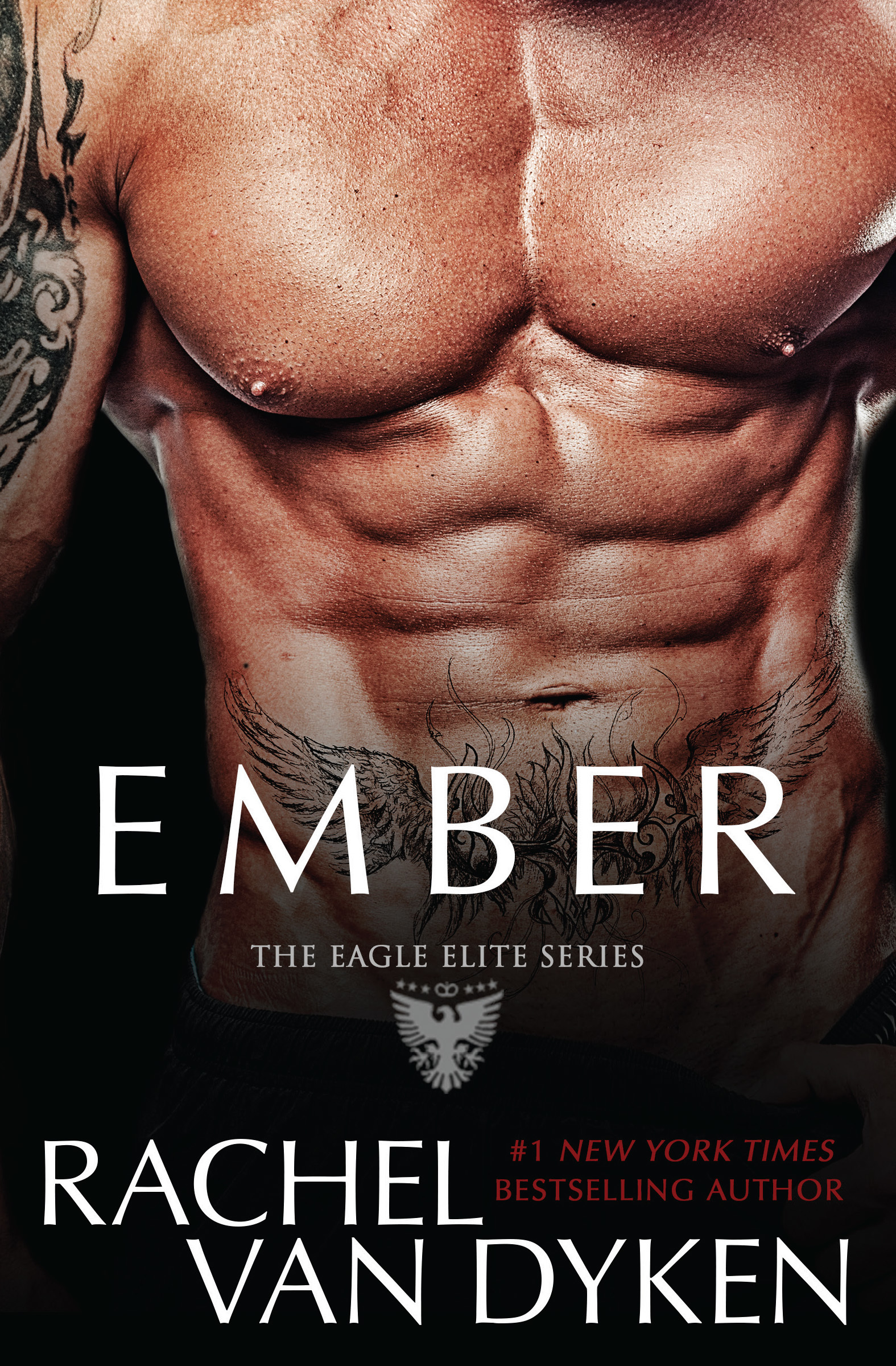 Ember book cover