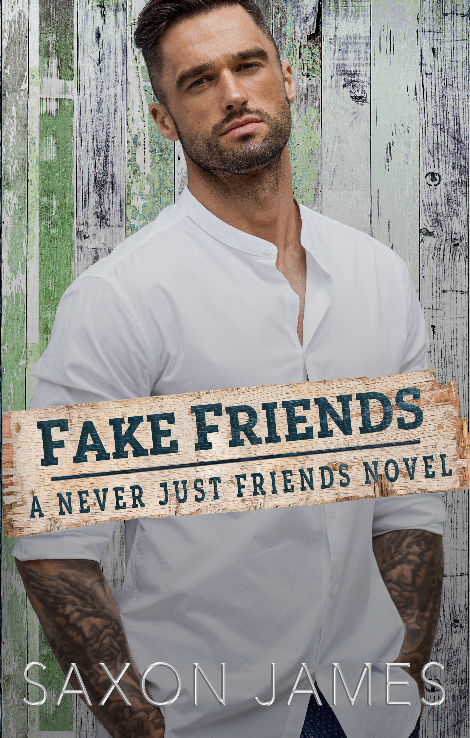 Never Just Friends book cover 2