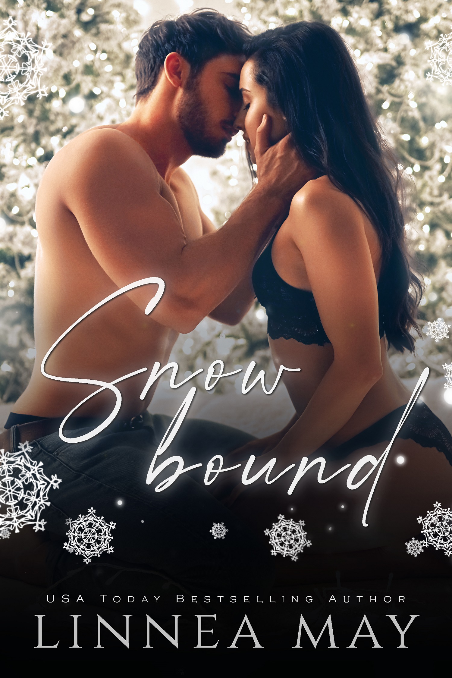 Snow Bound book cover