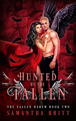 Fallen Harem book cover 2