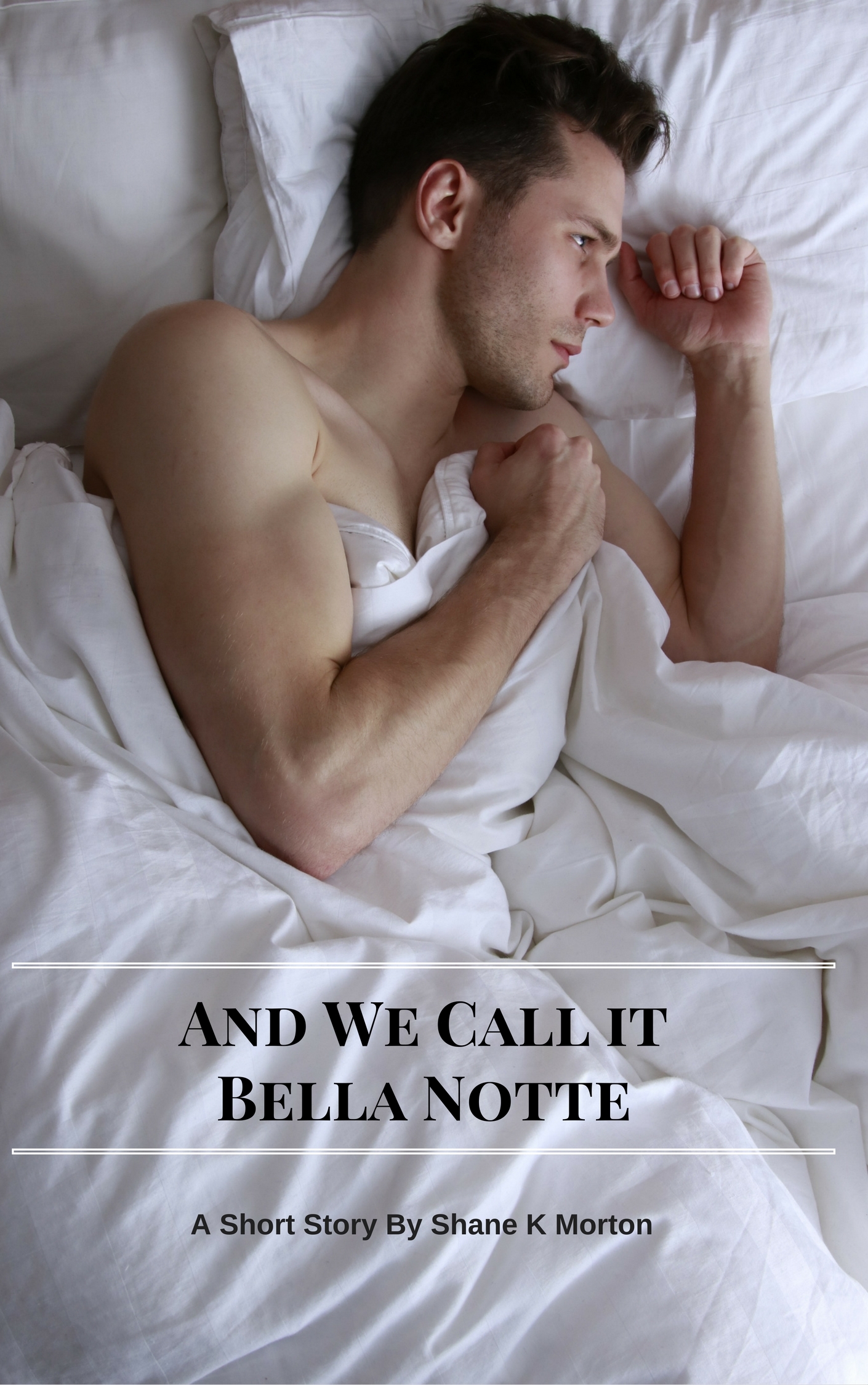 And We Call It Bella Notte book cover