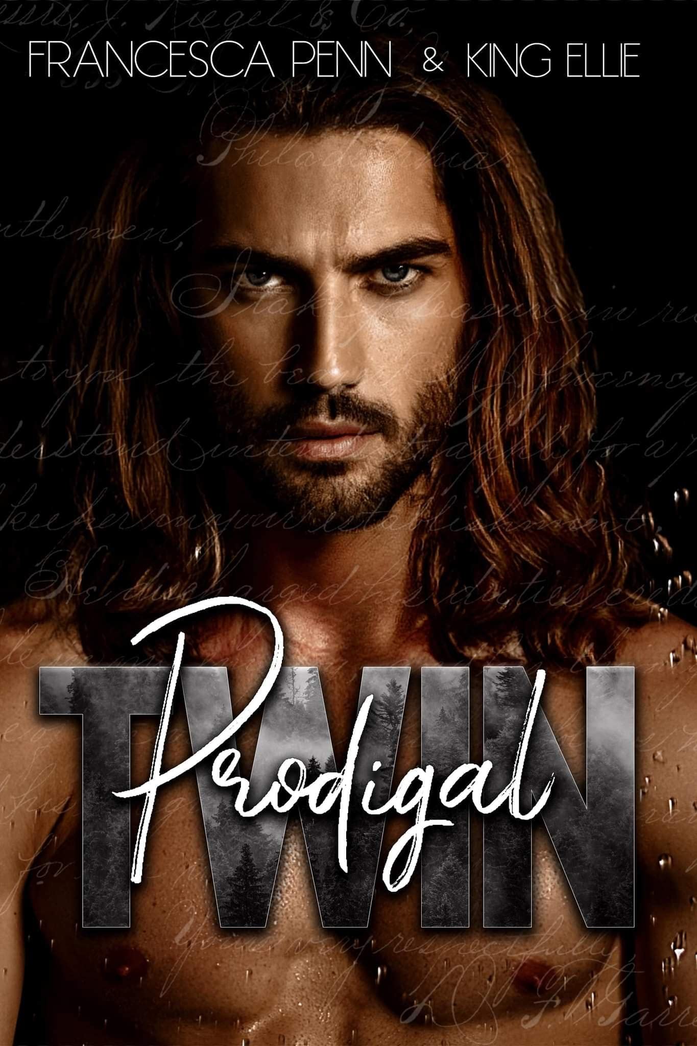 The Prodigal Twin book cover