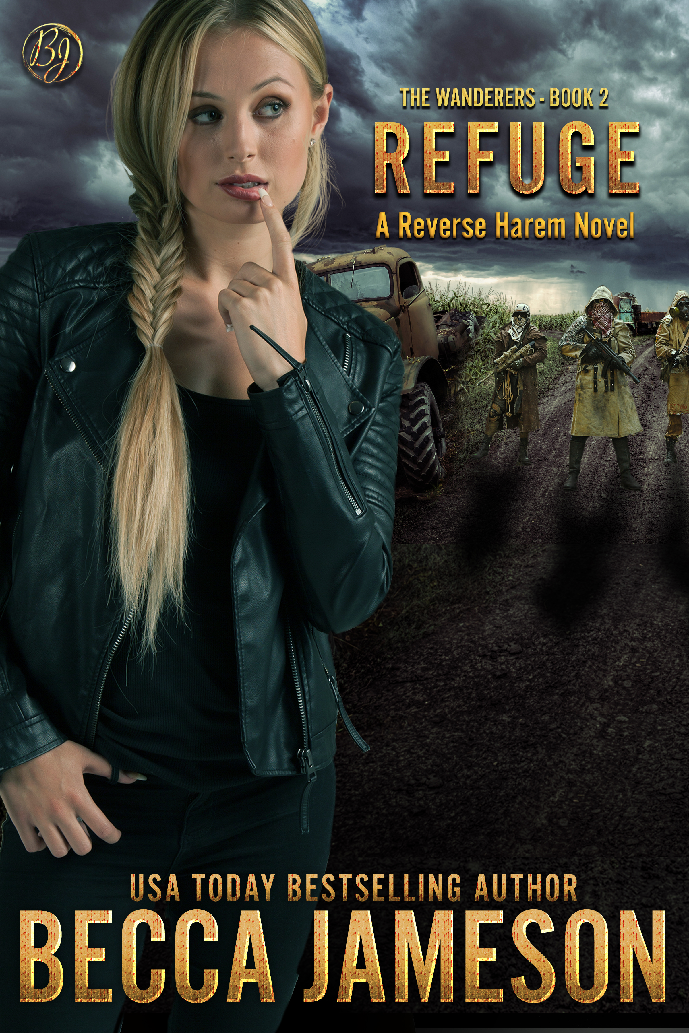 The Wanderers book cover 2