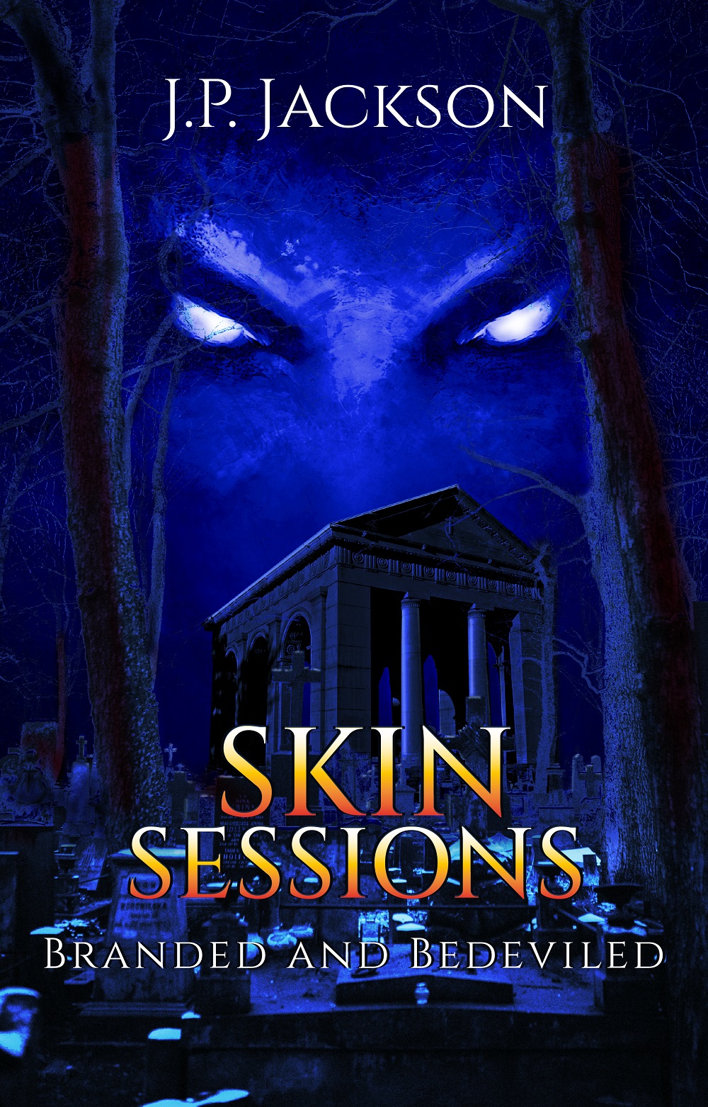 Skin Sessions book cover 1