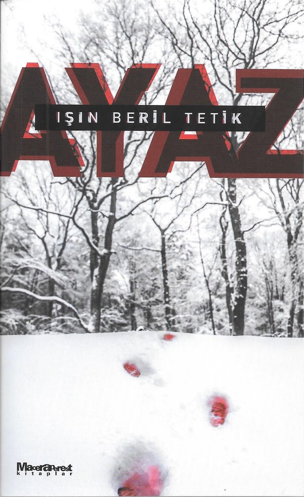 Ayaz book cover