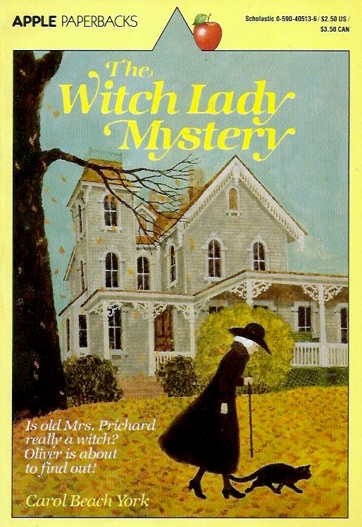 The Witch Lady Mystery book cover
