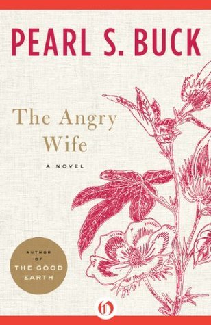 The Angry Wife book cover