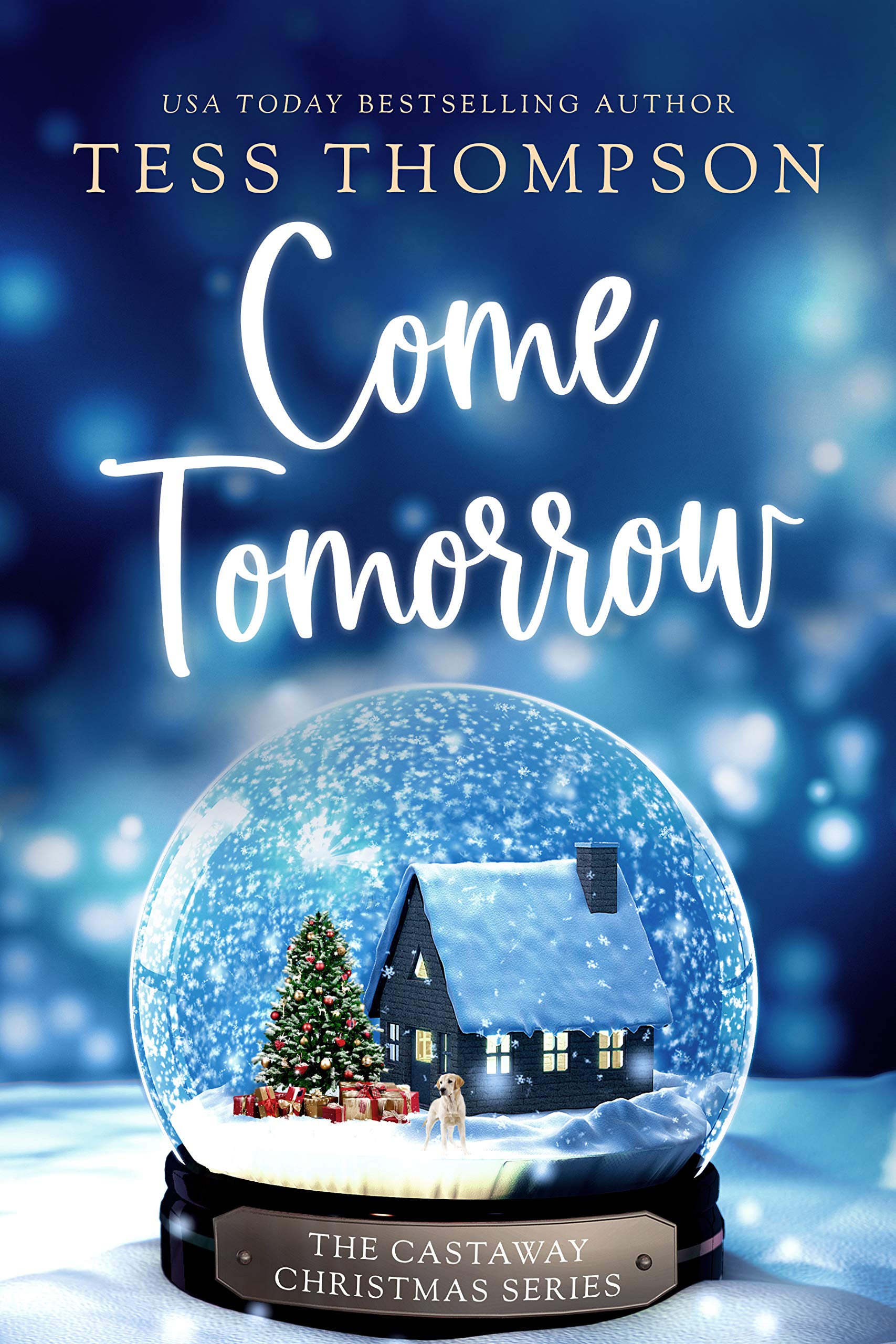 Castaway Christmas book cover 1