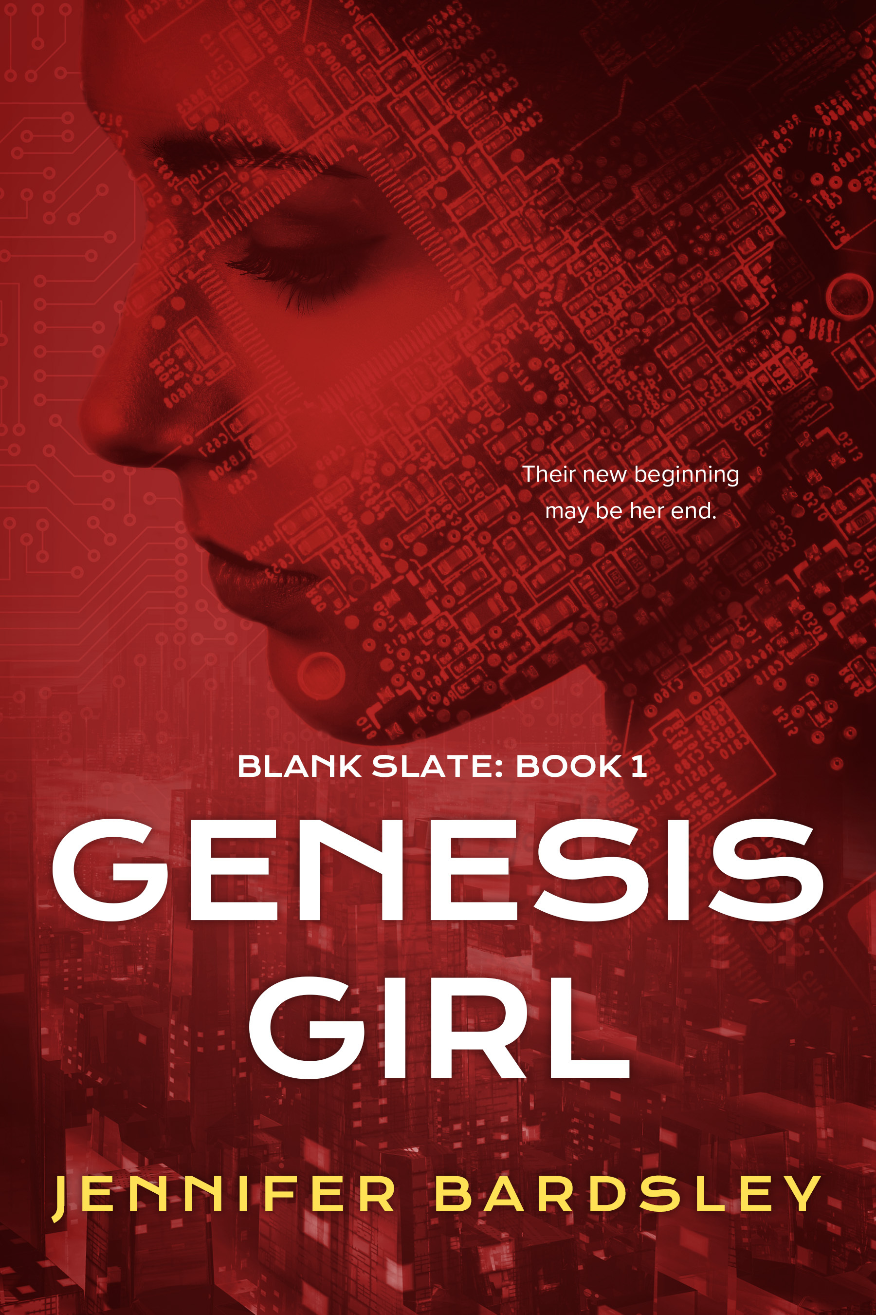 Blank Slate book cover 1