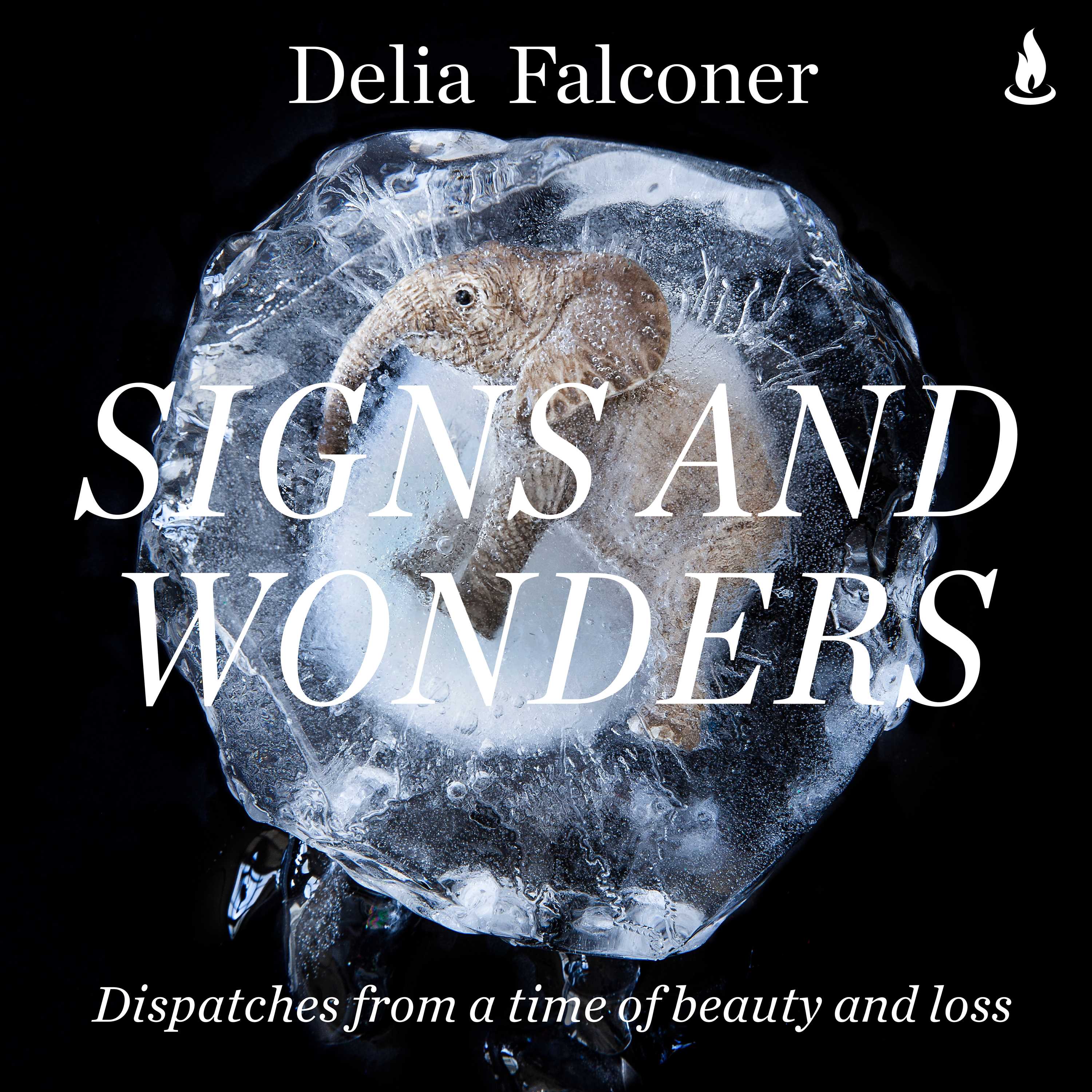 Signs and Wonders book cover
