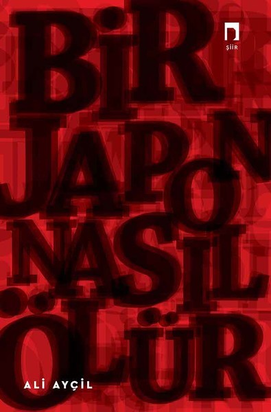 Bir Japon Nasıl Ölür book cover