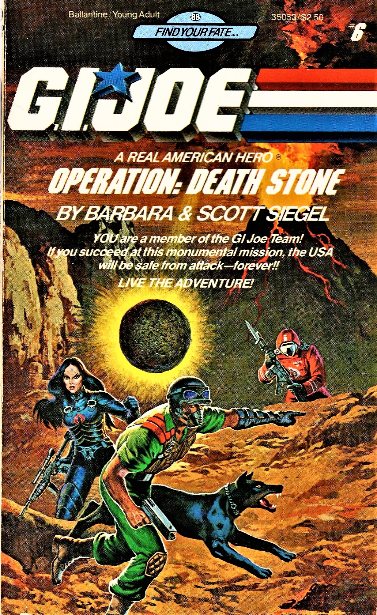 Operation book cover