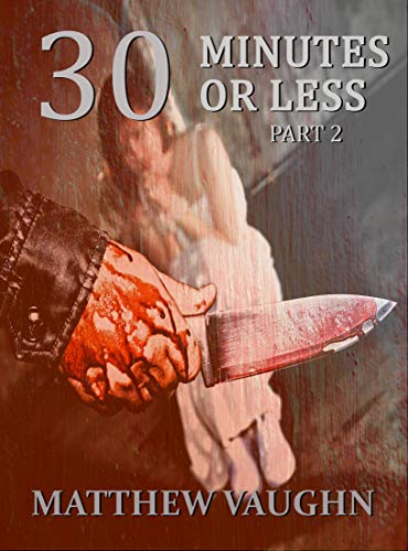 30 Minutes or Less book cover 2