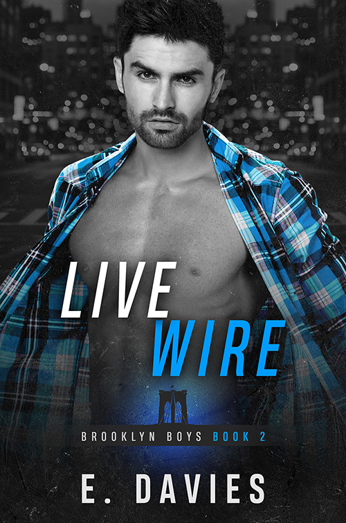 Brooklyn Boys book cover 2
