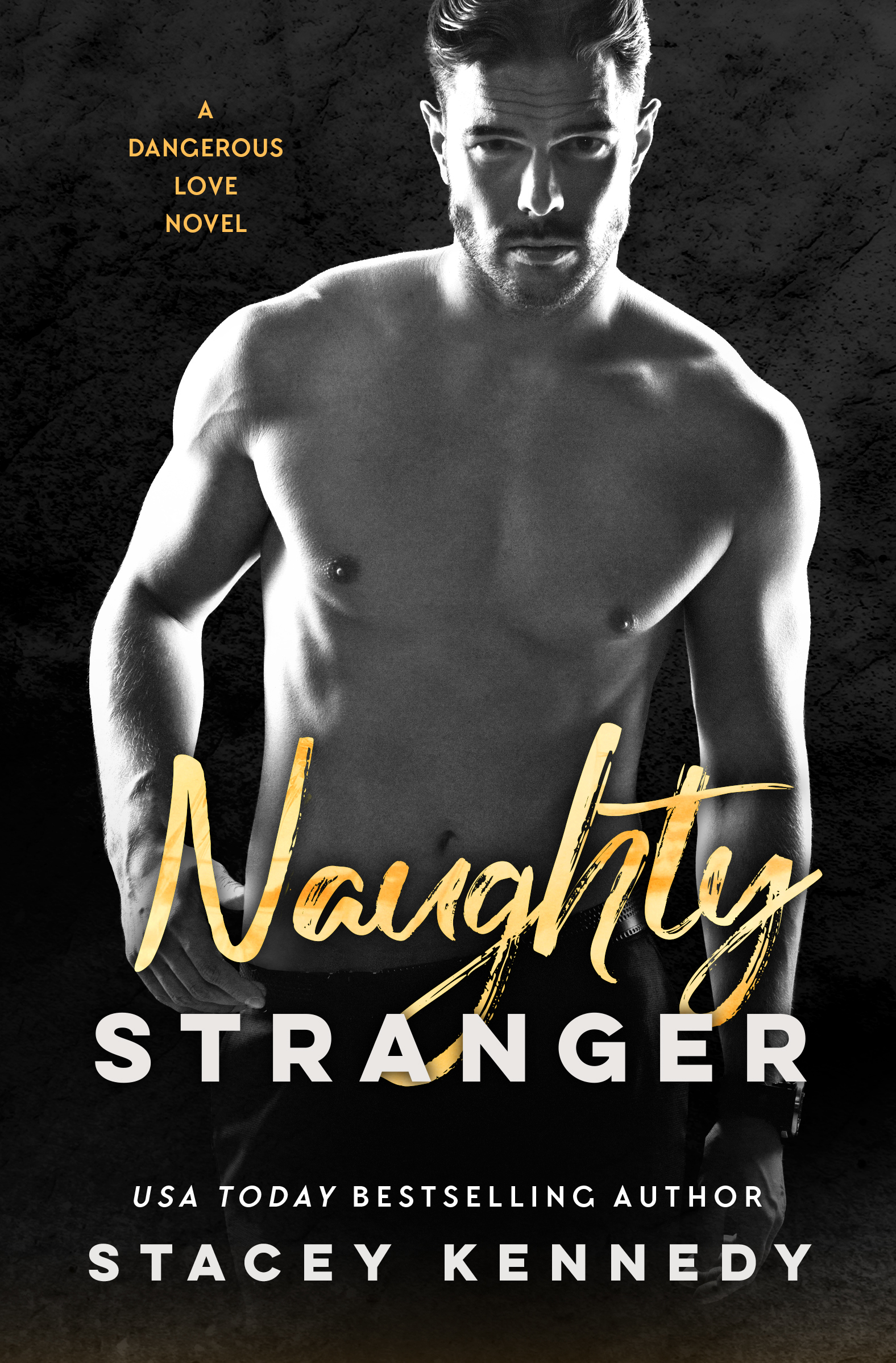 Dangerous Love book cover 1