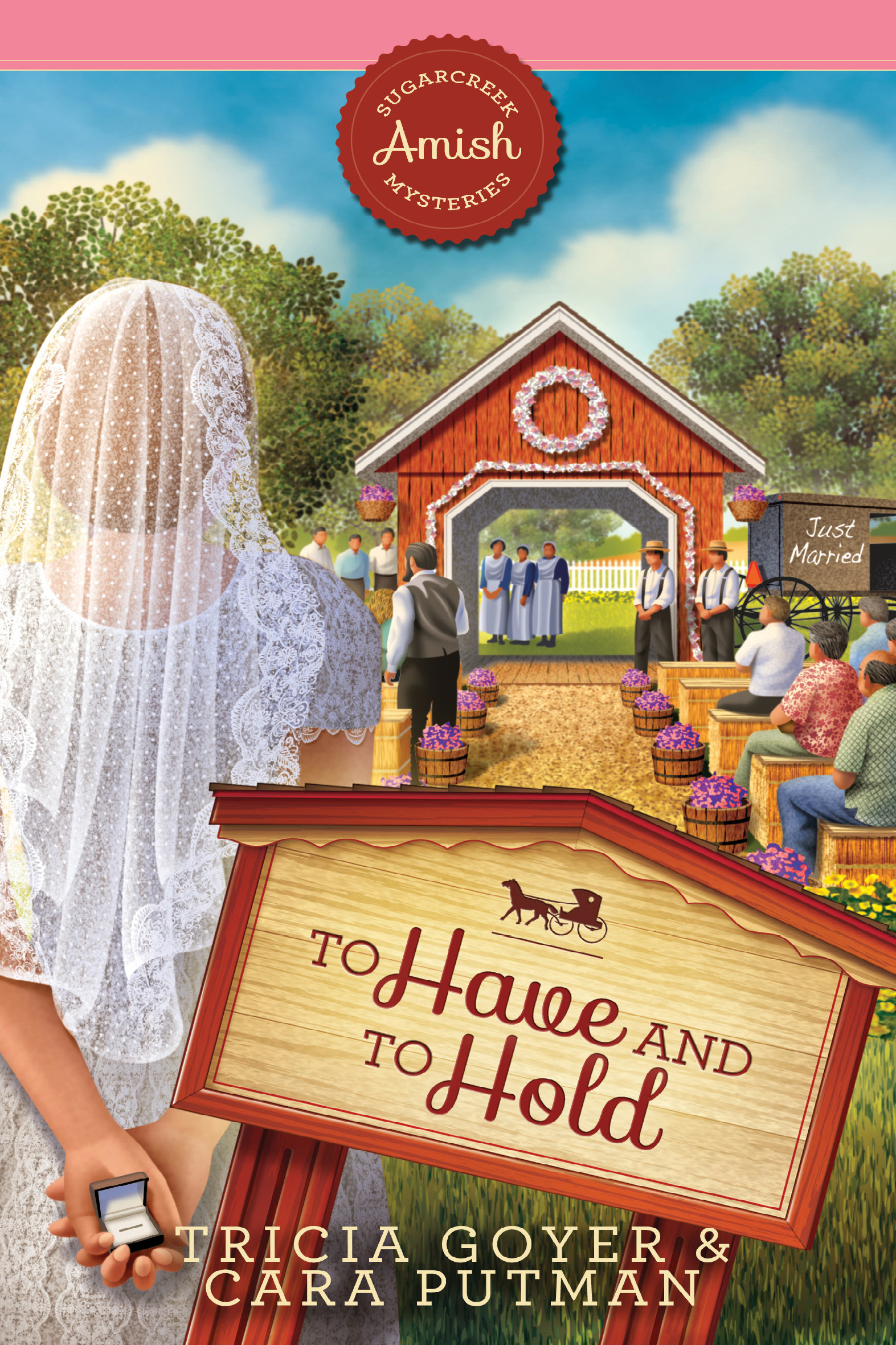 To Have and To Hold book cover