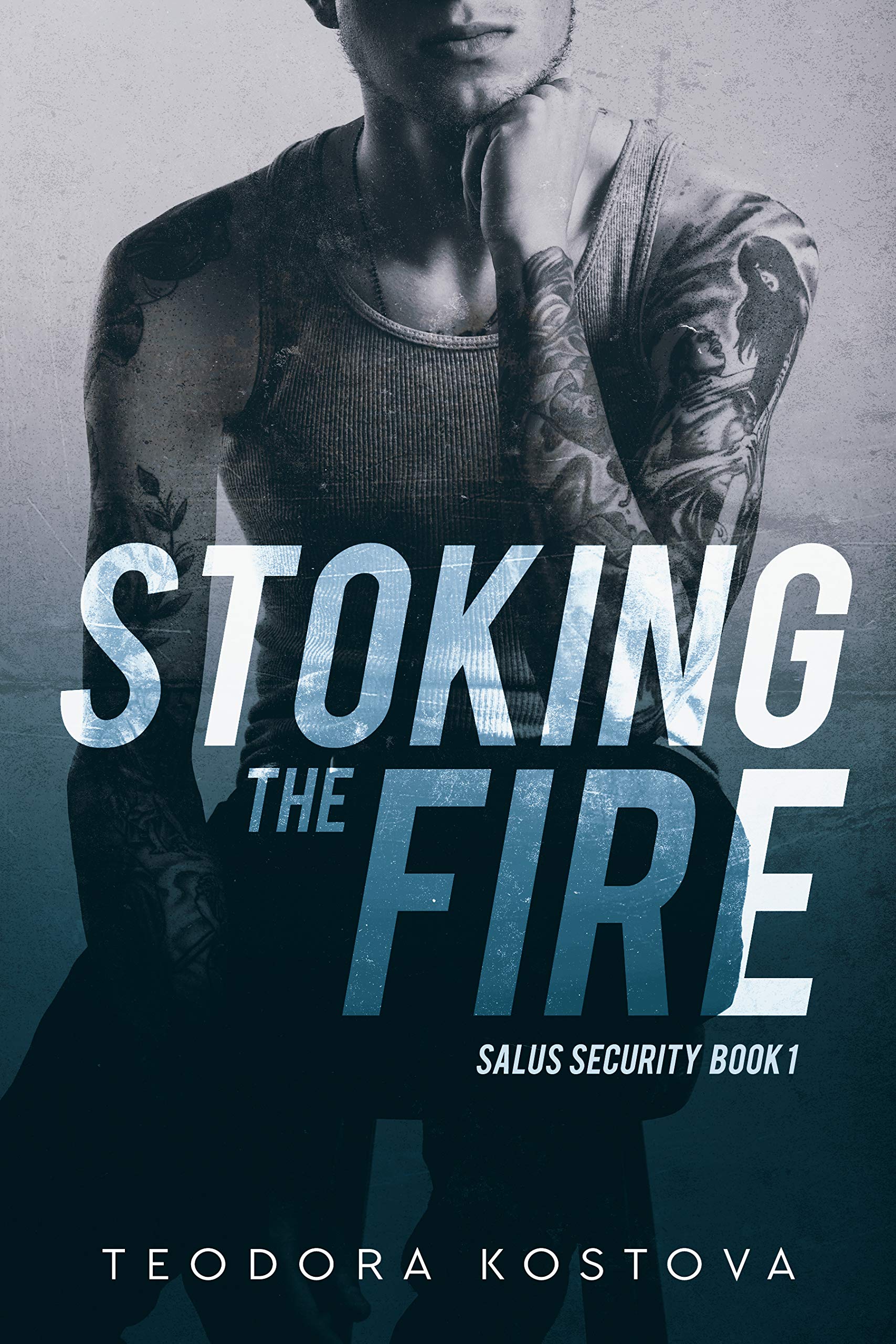 Salus Security book cover 1