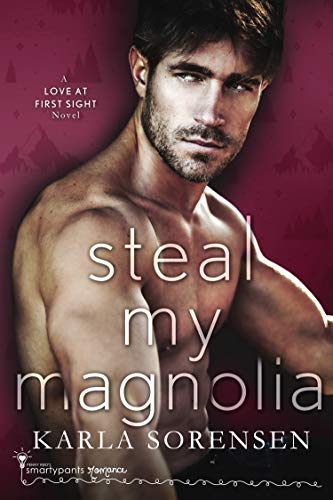 Love at First Sight book cover 3