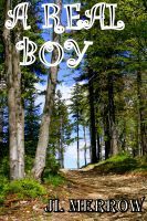 A Real Boy book cover