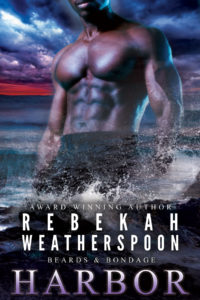 Harbor book cover