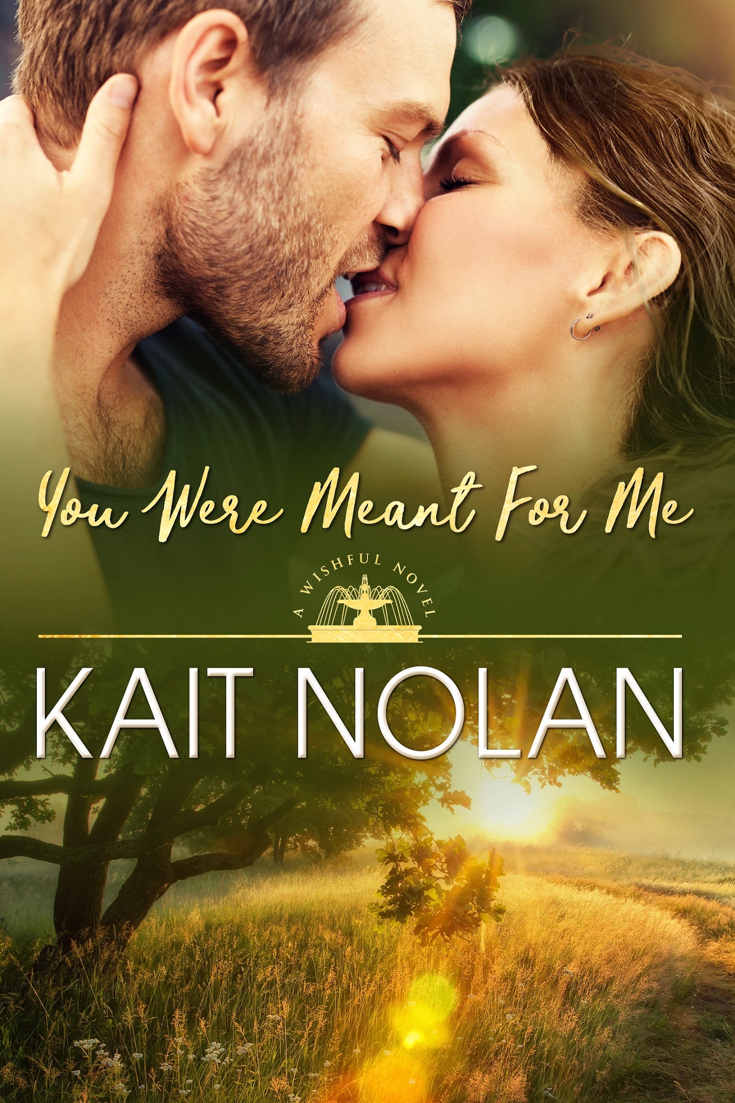 You Were Meant For Me book cover