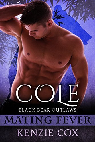 Black Bear Outlaws book cover 3