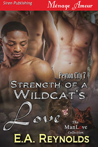 Strength of a Wildcat's Love book cover