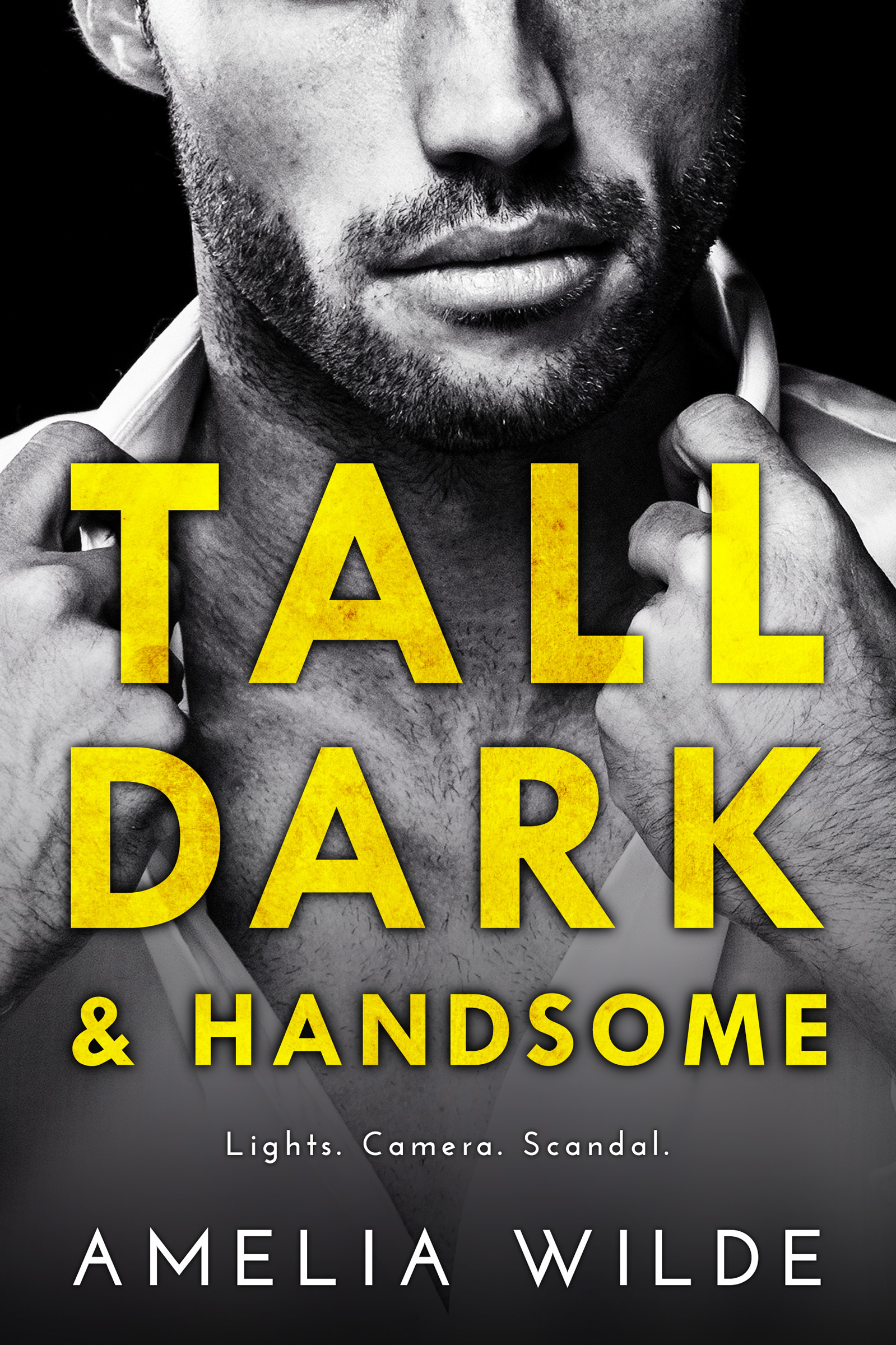 Tall, Dark & Handsome book cover