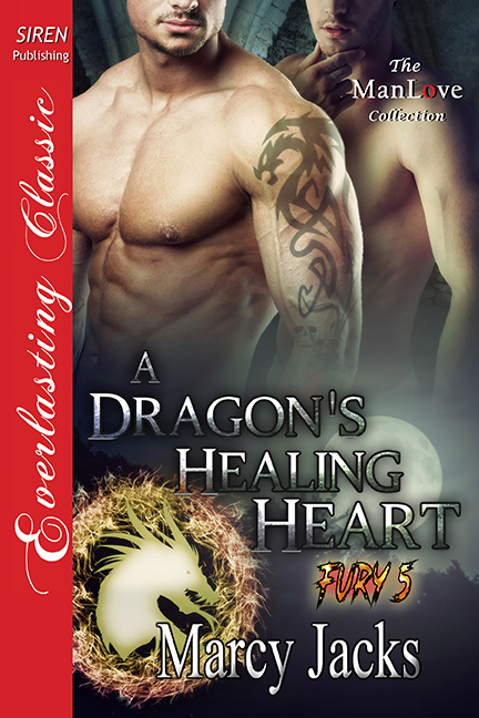 A Dragon's Healing Heart book cover