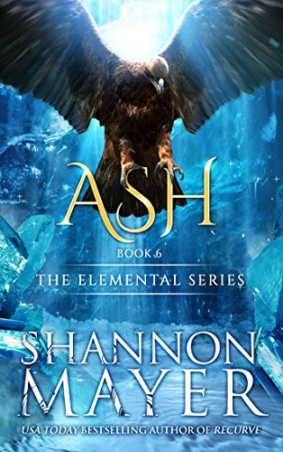 Ash book cover