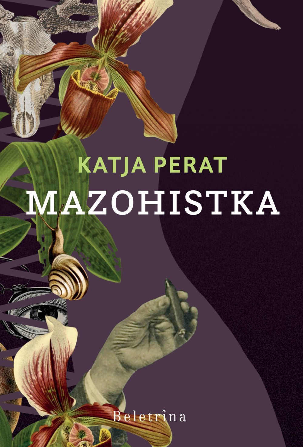 The Masochist book cover