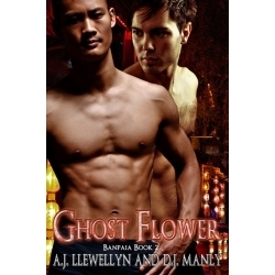 Banpaia book cover 2