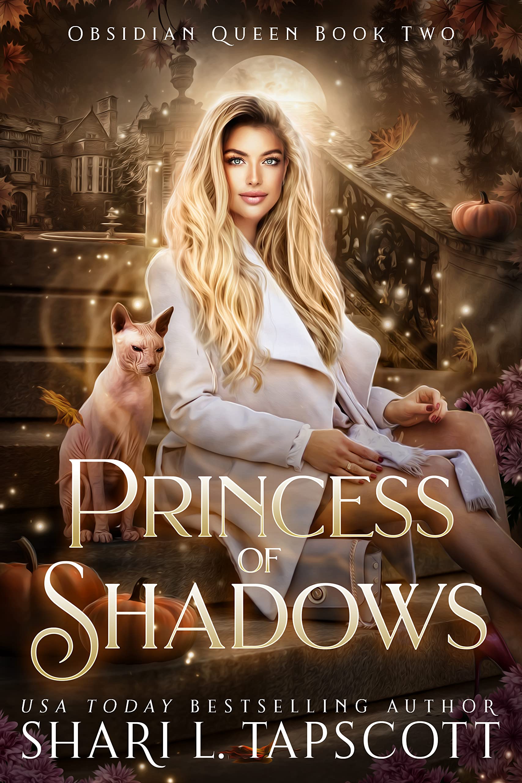 Obsidian Queen book cover 2