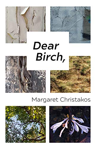 Dear Birch book cover