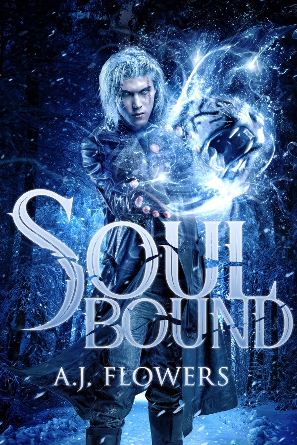 Dweller Saga book cover 1