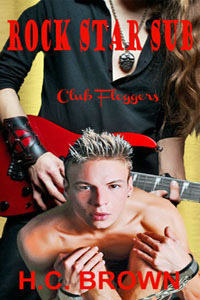 Rock Star Sub book cover