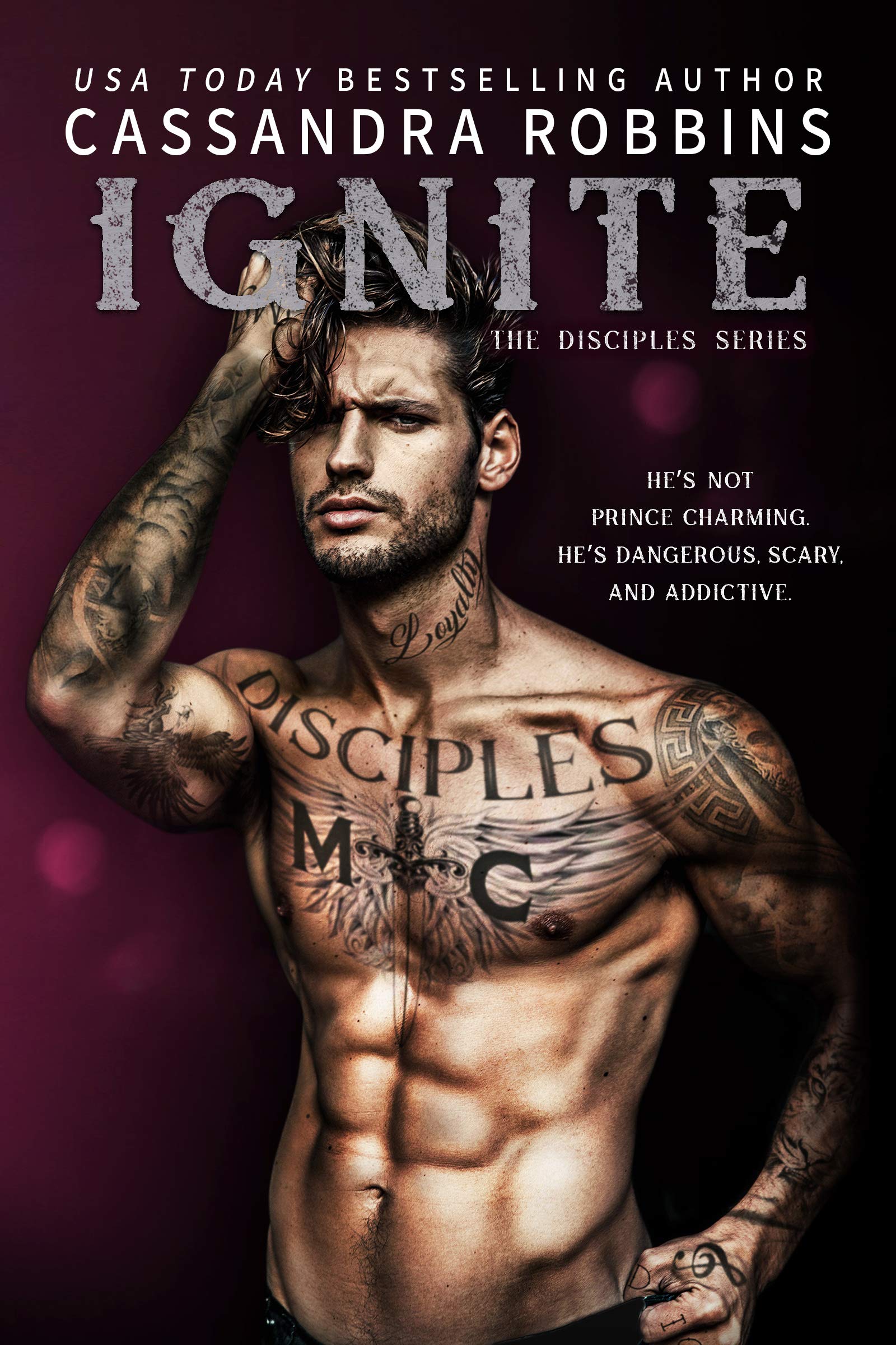 Ignite book cover